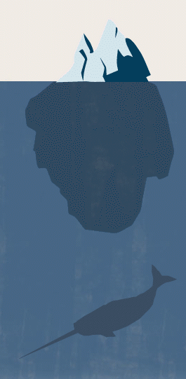 Narwhal Company logo